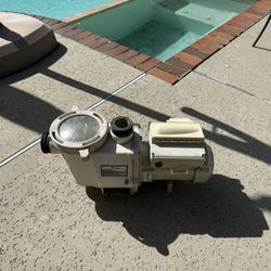 Pentair IntelliFlo Drive & Pump Model 011012