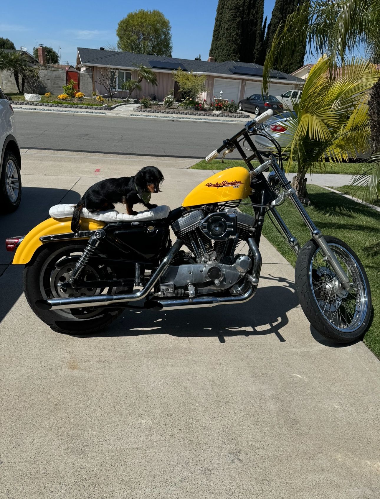 1995 Harley Davidson Sporster