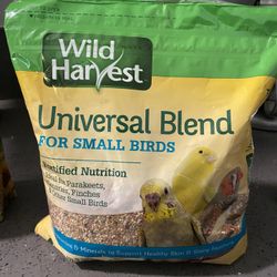 Bird Seeds (For parrot) 