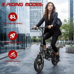 Electric Bike/ Bicycles Electrica 