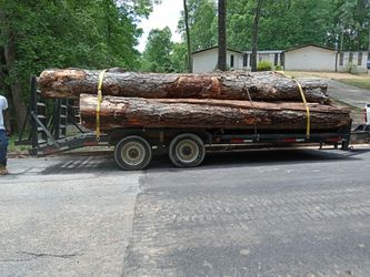 Logs For Sale