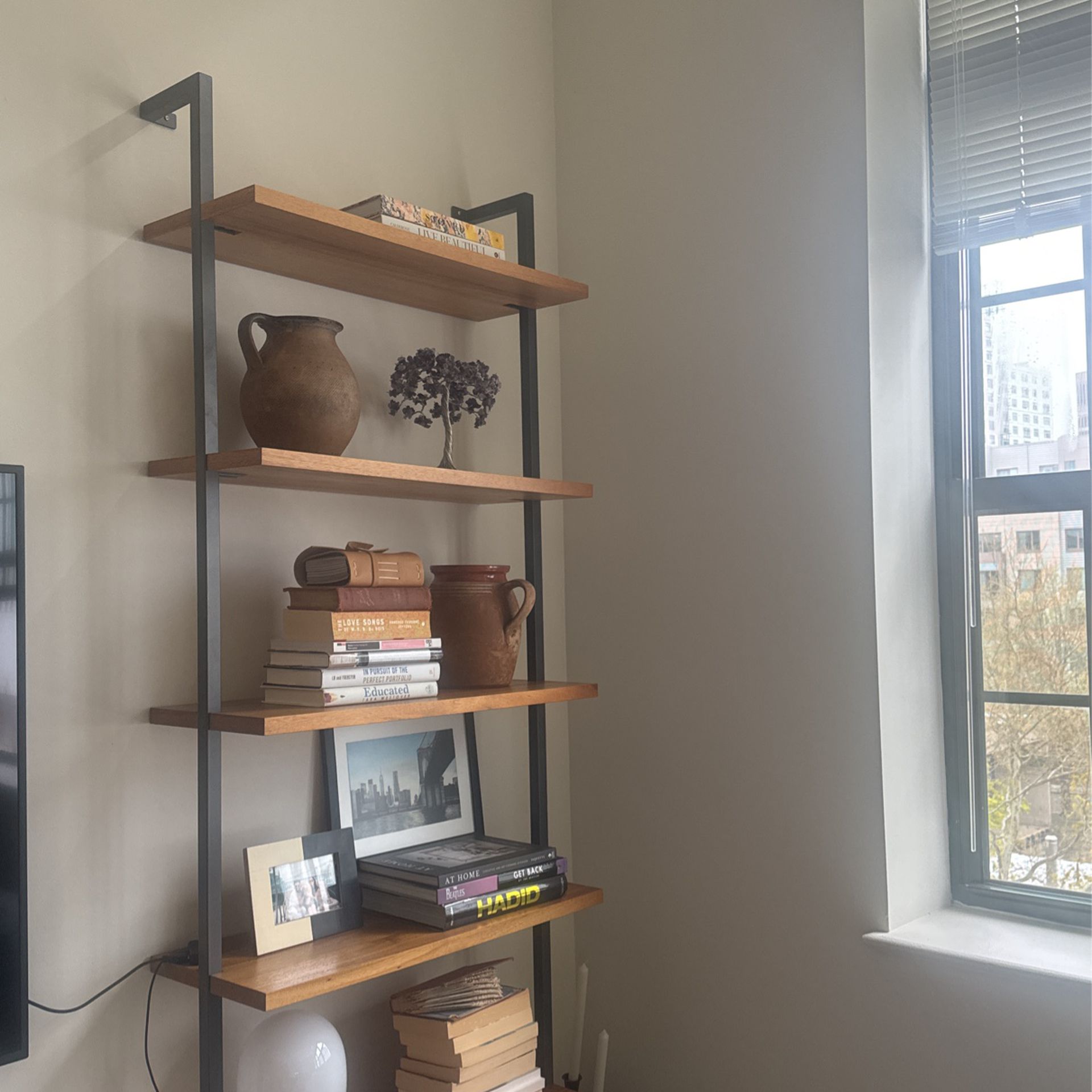 2 Helix CB2 Bookcases 