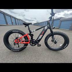 Cyrusher Electric Bicycle 