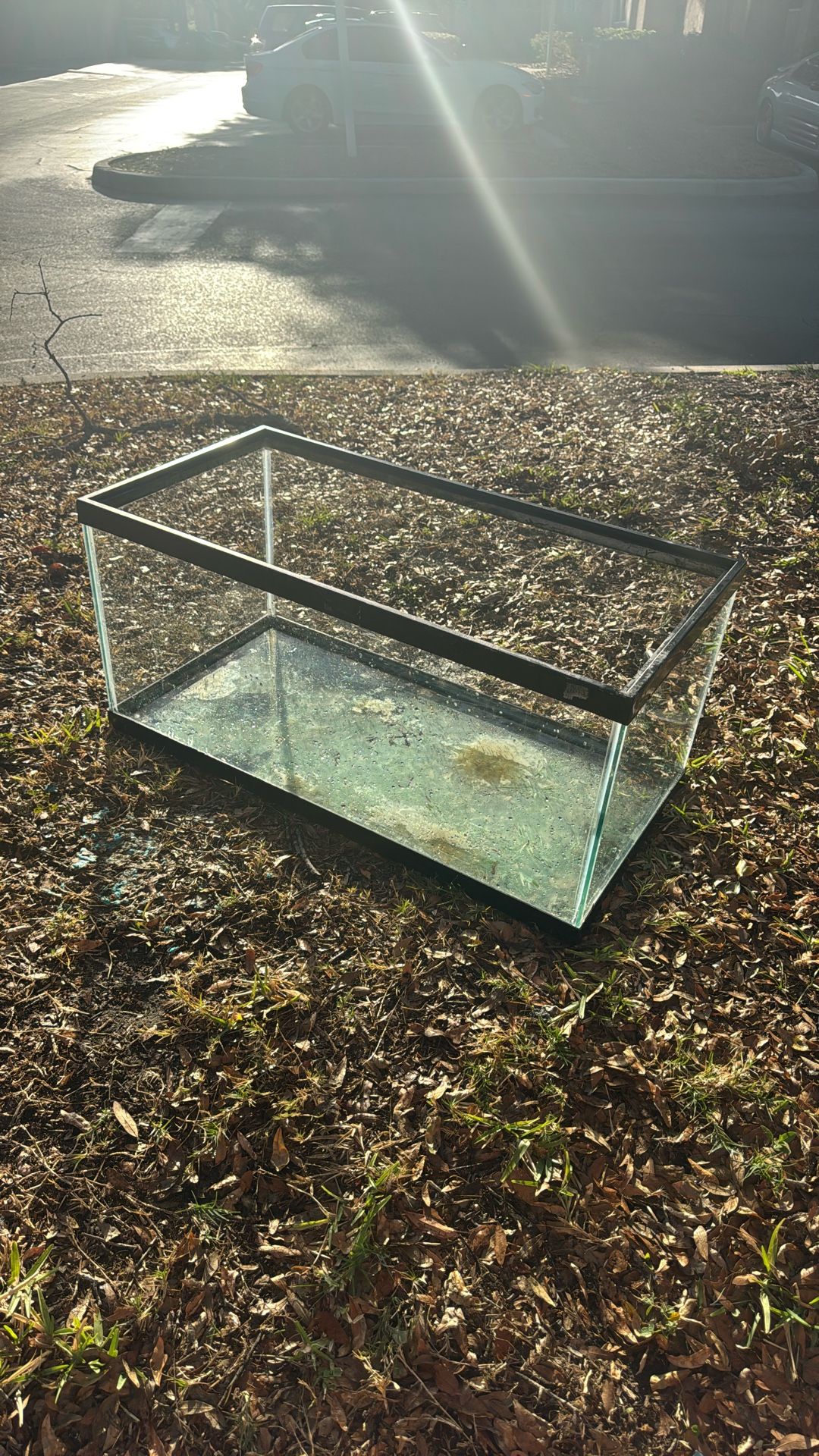 Fish Tank