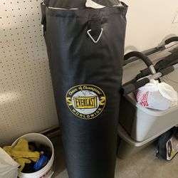 Everlast ®️ Punching Bag & Speed Bag w/ ALL PARTS Included