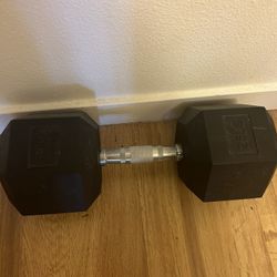 25 pound Weights X2