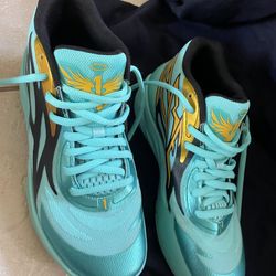 LaMelo Ball Honeycomb shoes Size 8.5