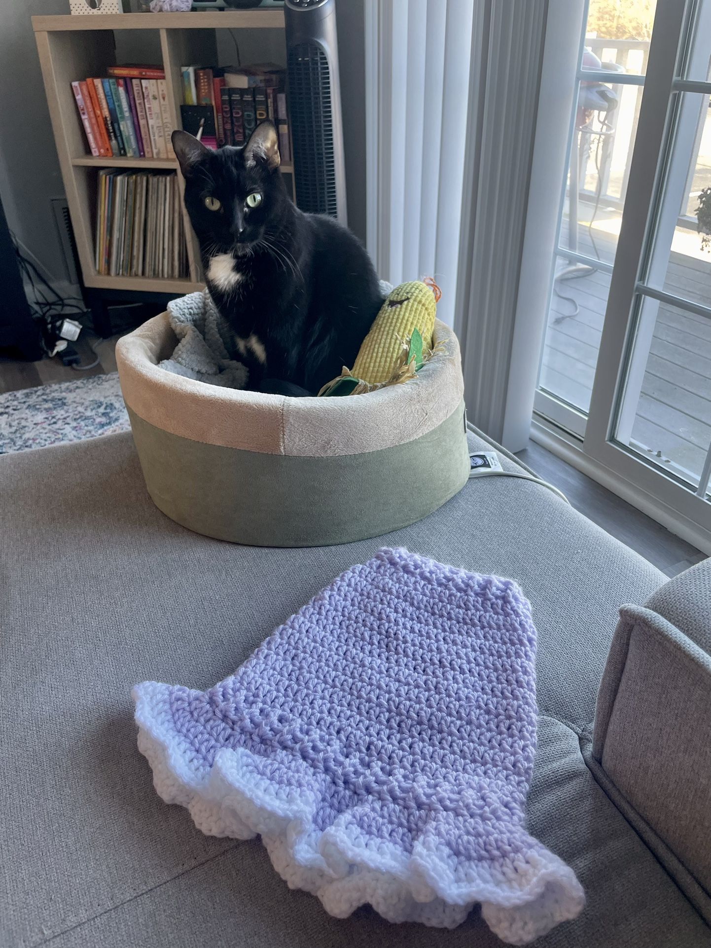 Handmade Lavender Dress for Pets