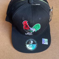 Roster SnapBack Hat $20 Each