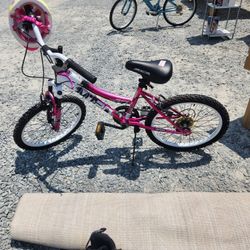 20 Inch Bike