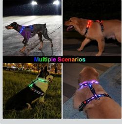 Dog Harness with 10 Lighting Modes for Night Walking