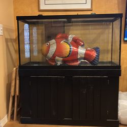 90 gallon fish tank