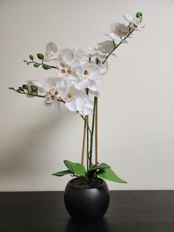 Faux White Orchid in Matte Black Pot – 27”