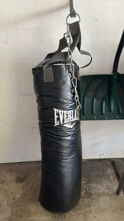 Everlast Boxing Punching Bag