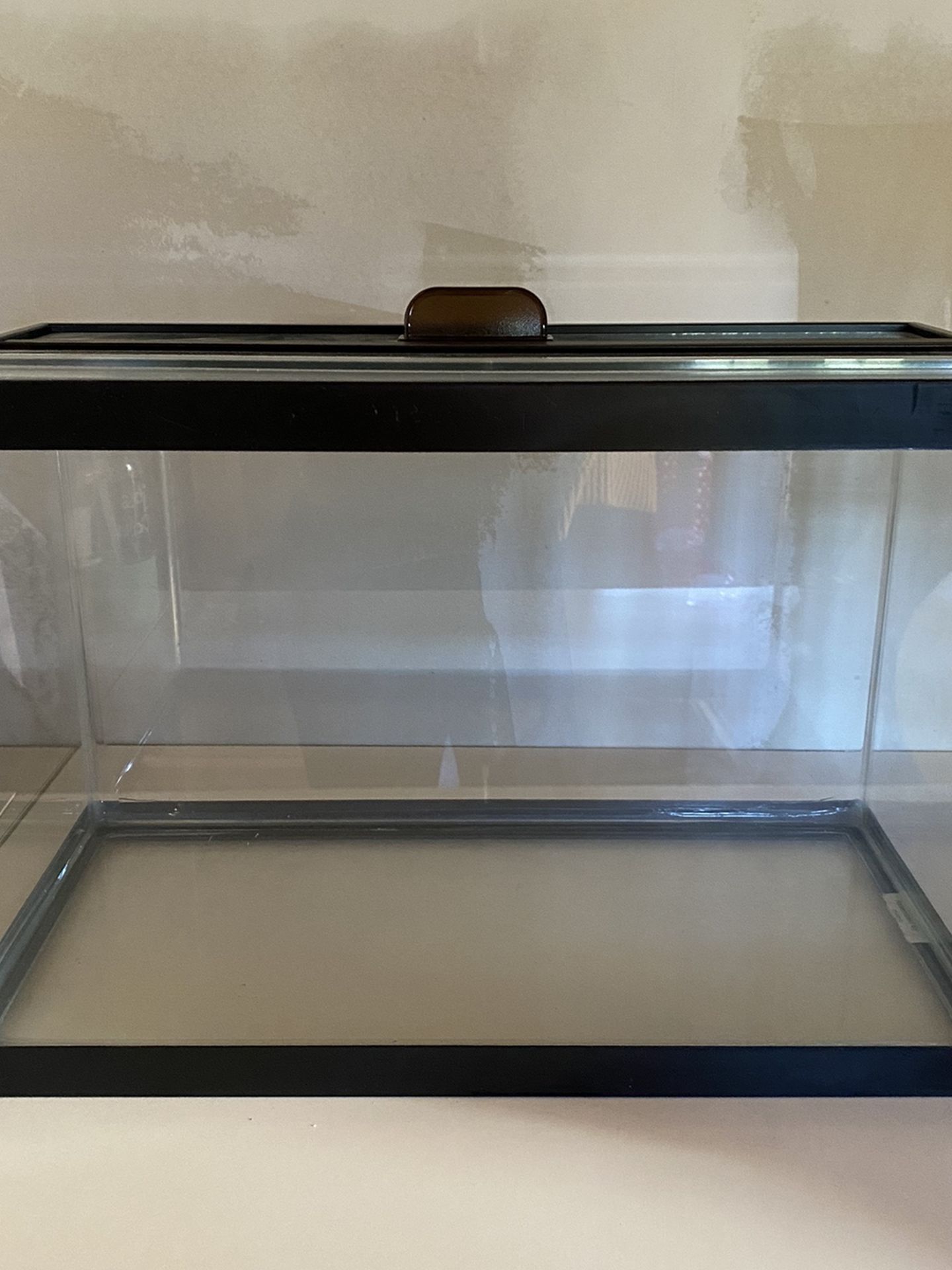 Small Glass Tank