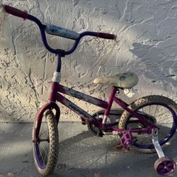 Girl Kid Bike 
