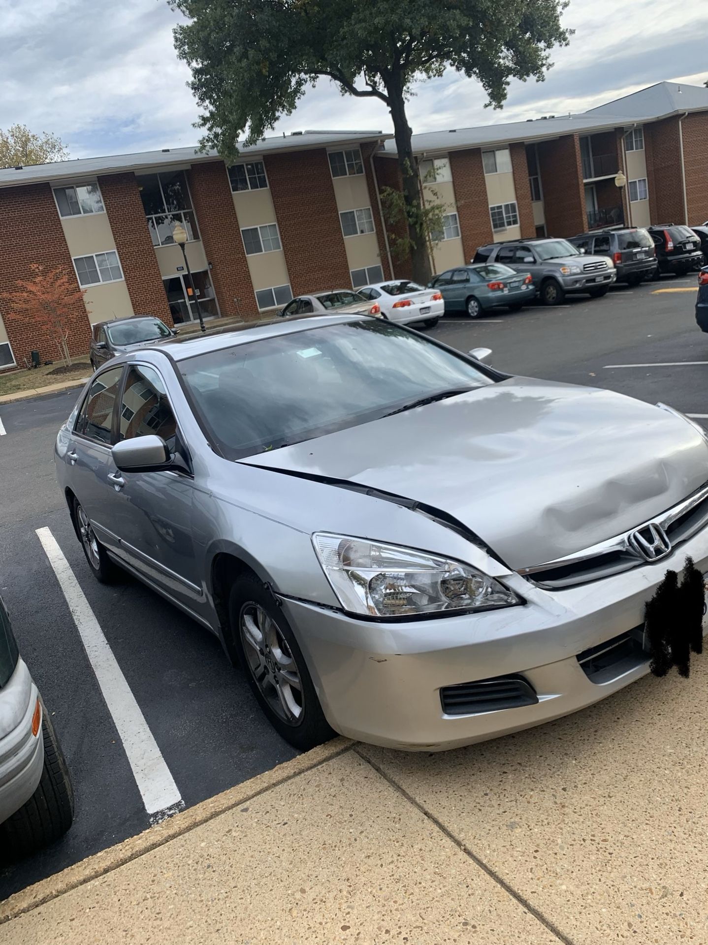 2006 Honda Accord