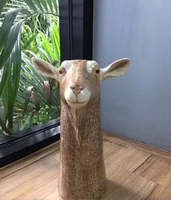 Ceramic Goat Head Pot Vase Succulent Plant