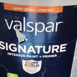 Valstar interior gloss primer paint