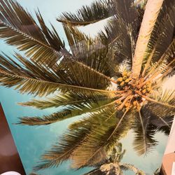 Palm Tree Canvas