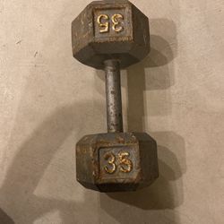 35 LB Solo Iron Dumbbell
