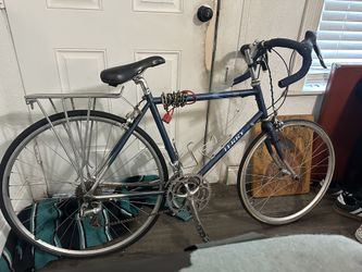 Terry Isis Road Bike