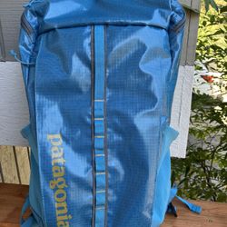 Patagonia Black Hole 25 L Backpack 