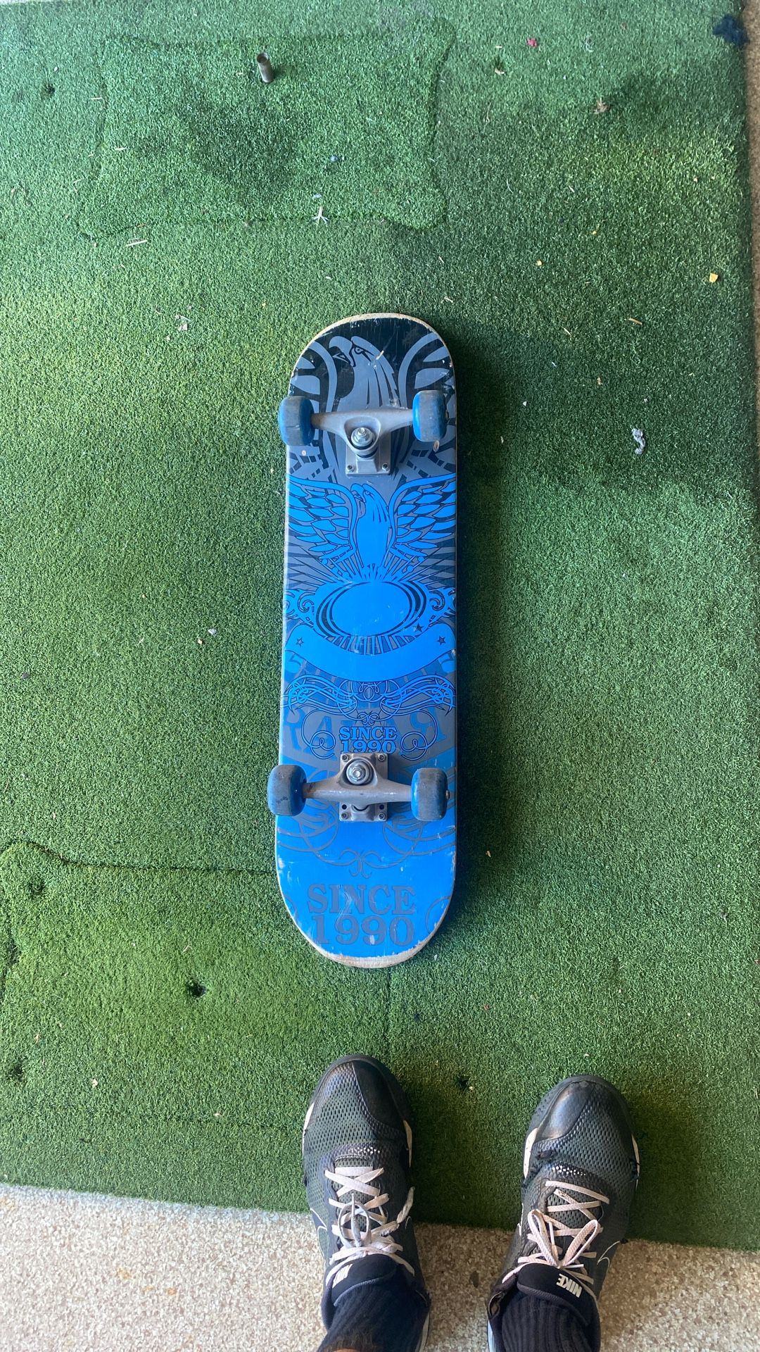 Anti- Hero Skateboard