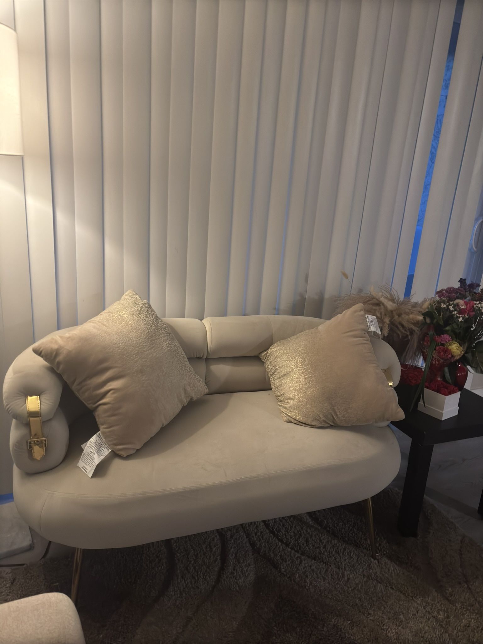 Velvet 2 Seat Couch Loveseat