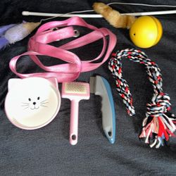 Pet Toys