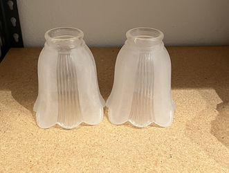 New Tulip Shaped Pendant Lamp Light Shades, Set of 2