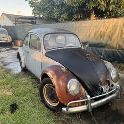 66 VW BUG