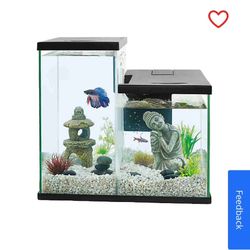 Fish Tank 