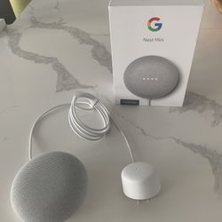 Google Nest 