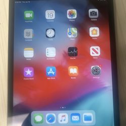 iPad Mini 2
