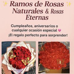 Rosas Eternas Y Naturales