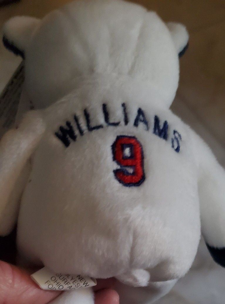 Ted Williams Beanie Baby Bear Autographed