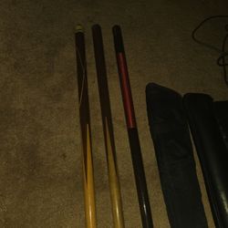 Pool Sticks 