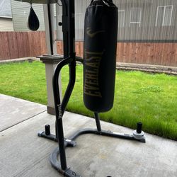 Boxing Bag And Speed Bag 