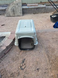 Medium sized dog kennel