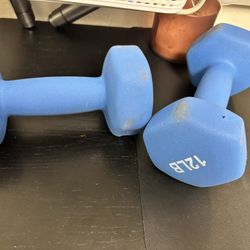 12 Ibs Weights Pair 
