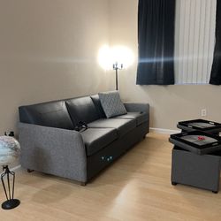 Couch For $100