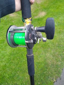 Sturgeon rod & reel