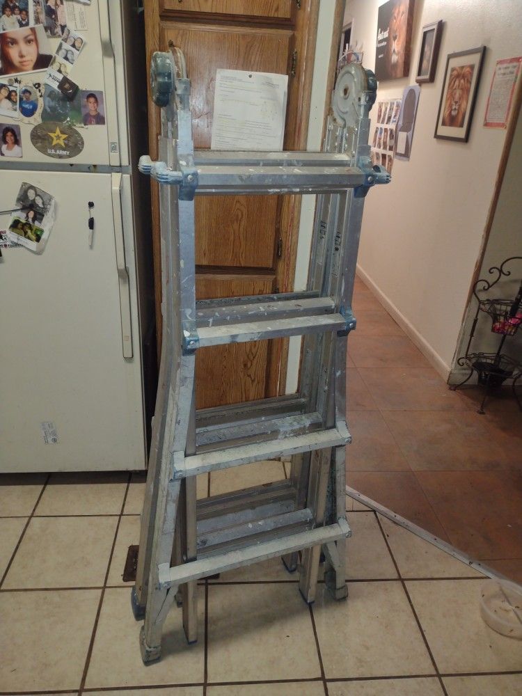 Folding Ladder