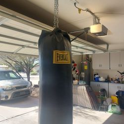 Punching Bag