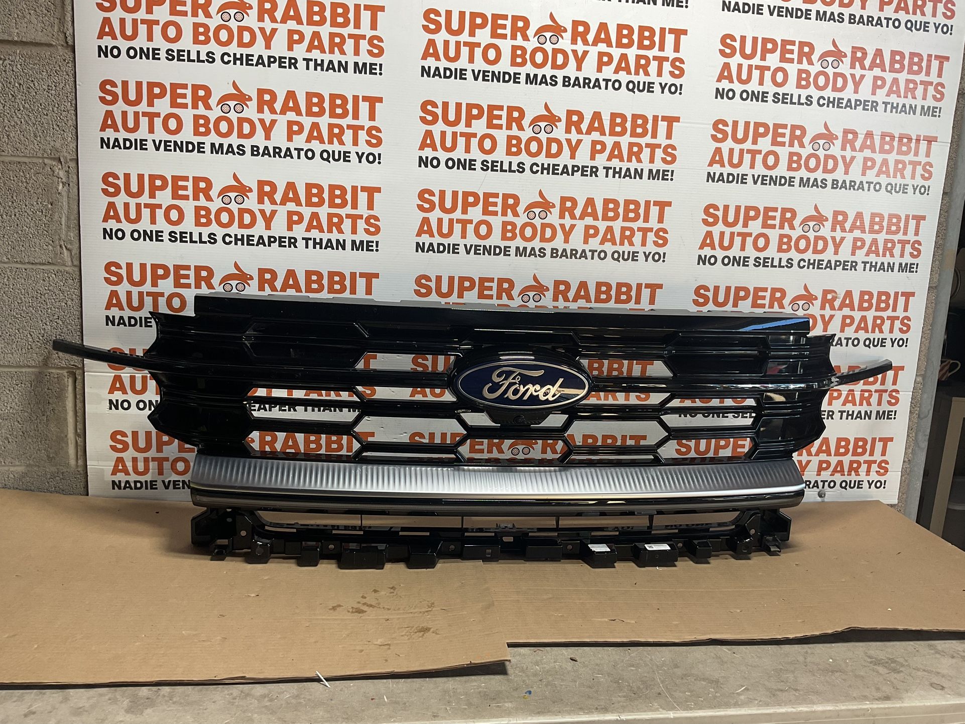 2025 EXPEDITION GRILLE w/center Light & Camera Great Original ๐