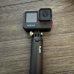 Go Pro 10
