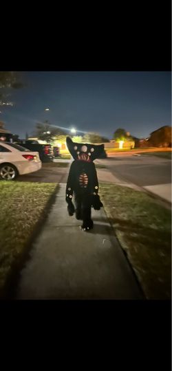 Halloween Costume