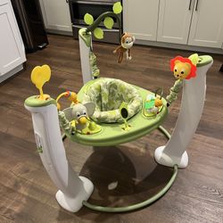 Baby Bouncer / Activity Center 