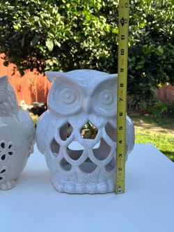 Bundle owls, bunny, gnomes cups